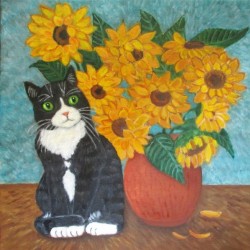Vincents cat 